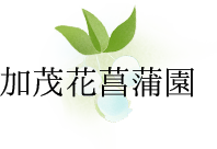 加茂花菖蒲園