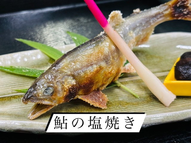 0118FC2A-5ABE-40F0-A666-1E0B20C54E1C.jpeg
